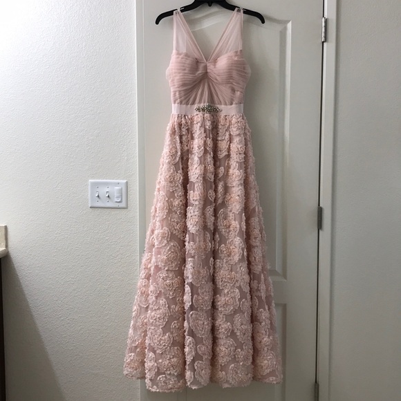 adrianna papell blush gown
